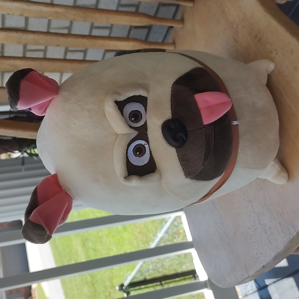 MEL/Dog Pet - Picture 1 of 10